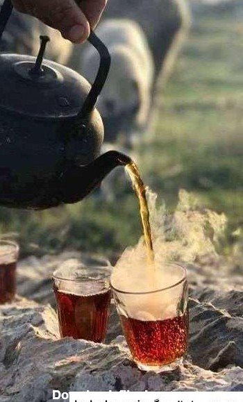عکس عصر پاییزی و فنجان چای