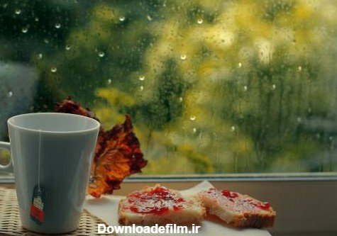  عکس عصر پاییزی و فنجان چای