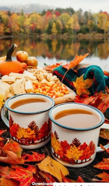  عکس عصر پاییزی و فنجان چای