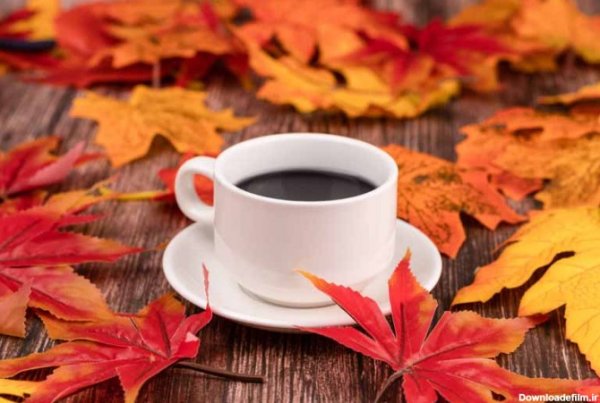  عکس عصر پاییزی و فنجان چای