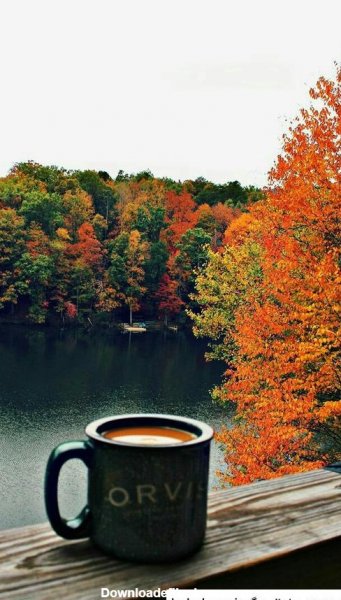  عکس عصر پاییزی و فنجان چای