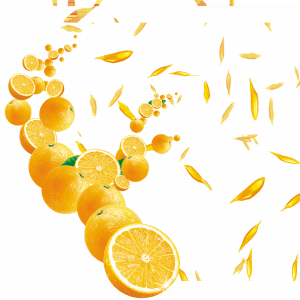 عکس پرتقال کیوت