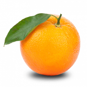 عکس پرتقال کیوت