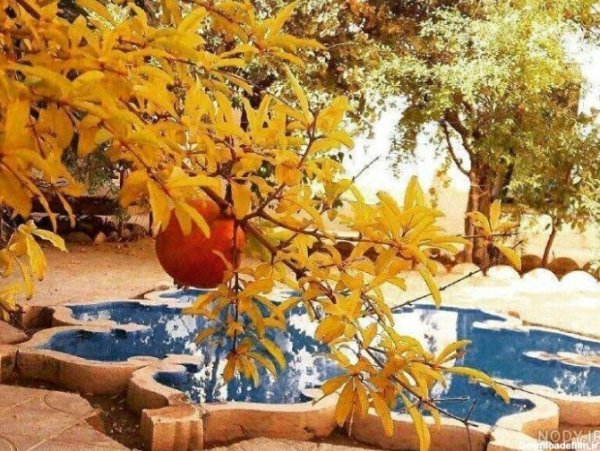  پروفایل پاییزی کلبه‌ جنگلی زیبا