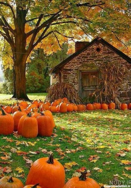  پروفایل پاییزی کلبه‌ جنگلی زیبا