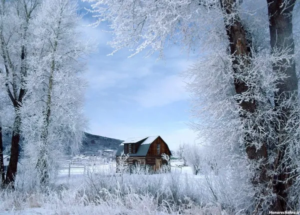  عکس کلبه برای پروفایل