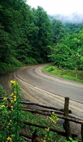  عکس کلبه جنگلی برای پروفایل