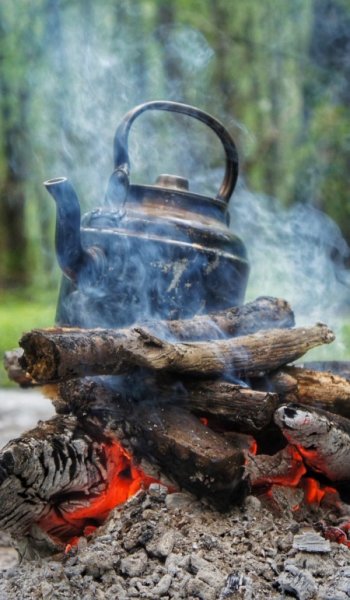  عکس کلبه جنگلی برای پروفایل