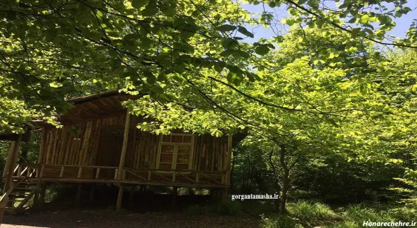  عکس کلبه جنگلی عاشقانه