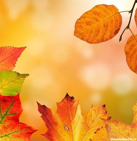  عکس کلبه چوبی در پاییز