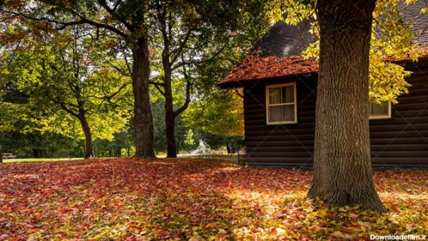  عکس کلبه چوبی در پاییز