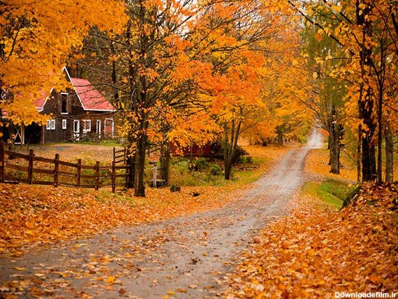  عکس کلبه چوبی در پاییز