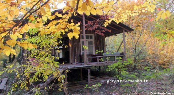  عکس کلبه چوبی در پاییز