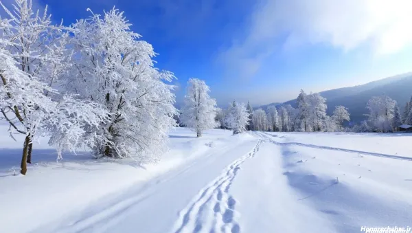  عکس کلبه عشق برای پروفایل