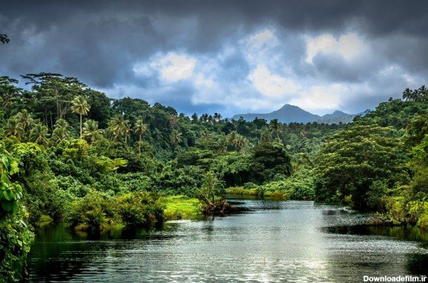  عکس طبیعت سر سبز و زیبا