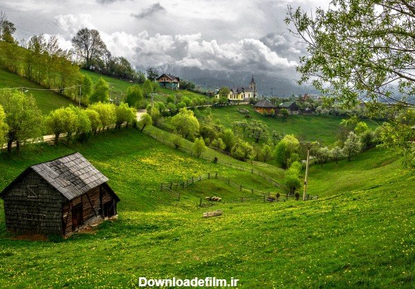  عکس طبیعت سر سبز و زیبا