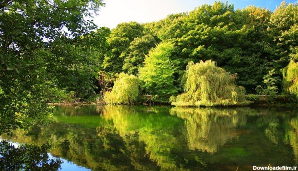  عکس طبیعت سر سبز و زیبا