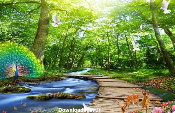  عکس طبیعت سر سبز و زیبا