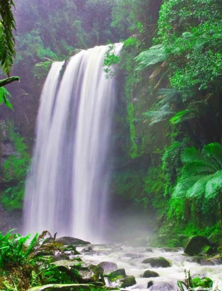  عکس طبیعت سر سبز و زیبا