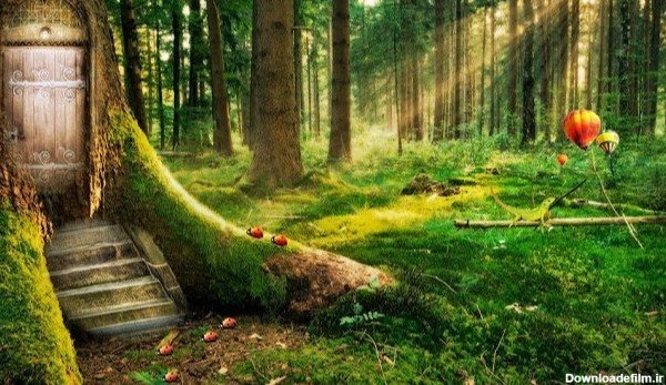  عکس طبیعت سر سبز و زیبا