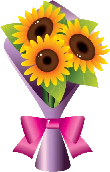  عکس گل آفتابگردان طبیعی