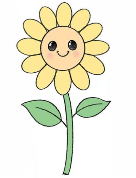  عکس گل آفتابگردان نقاشی