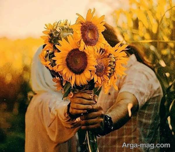 عکس گل آفتابگردان برای پروفایل واتساپ