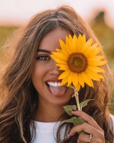  عکس گل آفتابگردان برای پروفایل واتساپ