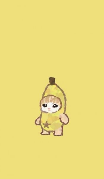  عکس گربه قهوه