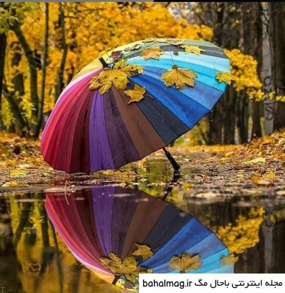  عکس شاد طبیعت پروفایل