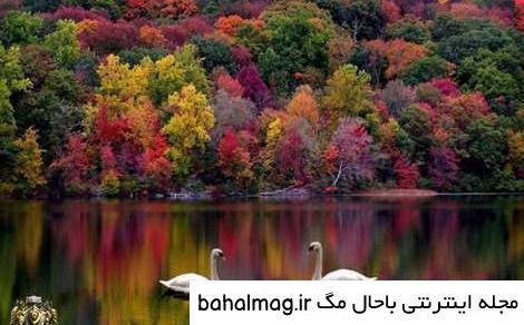  عکس شاد طبیعت پروفایل