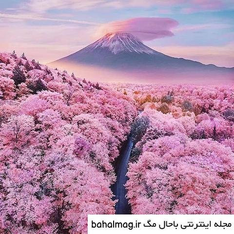  عکس شاد طبیعت پروفایل