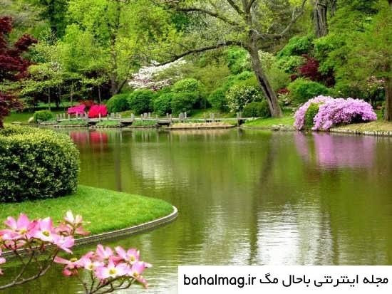  عکس شاد طبیعت پروفایل