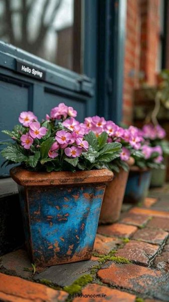  پروفایل طبیعت و گل زیبا