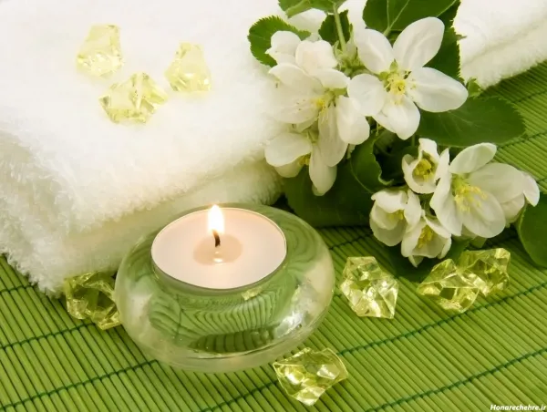  عکس هنری گل برای پروفایل