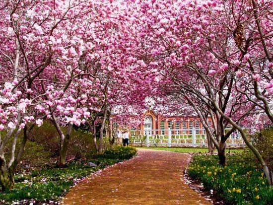  منظره خاص و دیدنی برای پروفایل