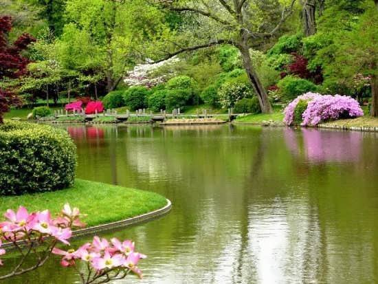  منظره خاص و دیدنی برای پروفایل