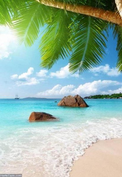  عکس خاص و زیبا از دریا