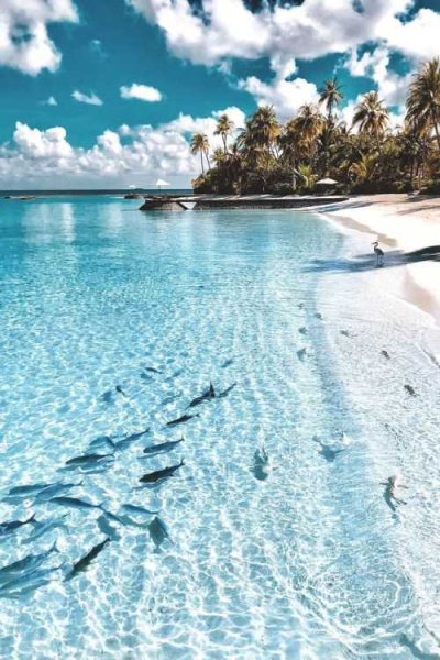  تصویر پروفایل بسیار زیبا از دریا