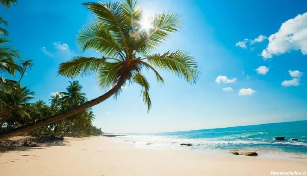  جدیدترین پروفایل ساحل ارامش