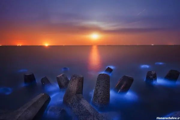  جدیدترین پروفایل ساحل ارامش