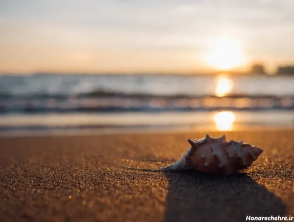  جدیدترین پروفایل ساحل ارامش