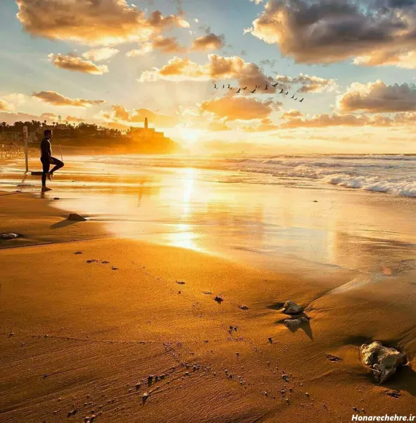  جدیدترین پروفایل ساحل ارامش