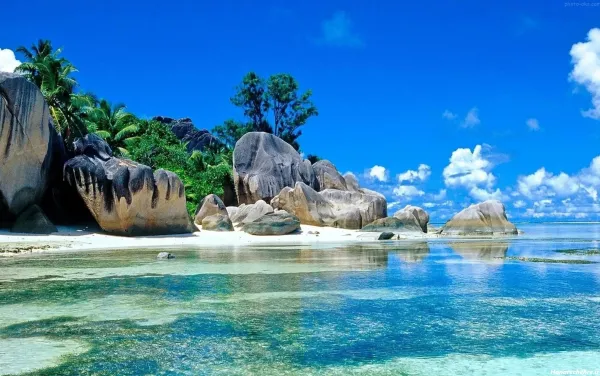  جدیدترین پروفایل ساحل ارامش