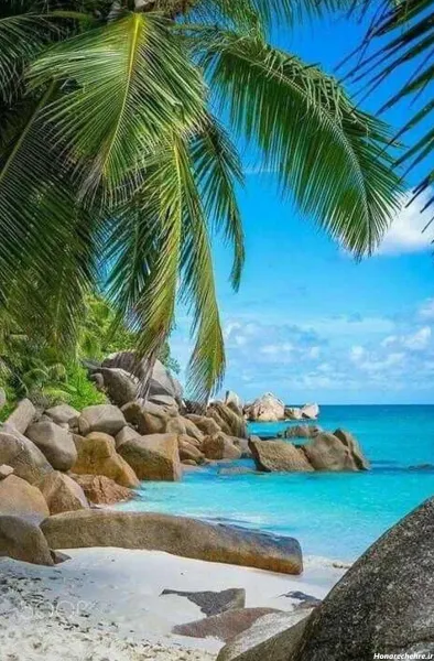  جدیدترین پروفایل ساحل ارامش