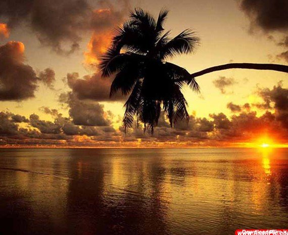  عکس زیبا و دلنشین از غروب آفتاب دریا