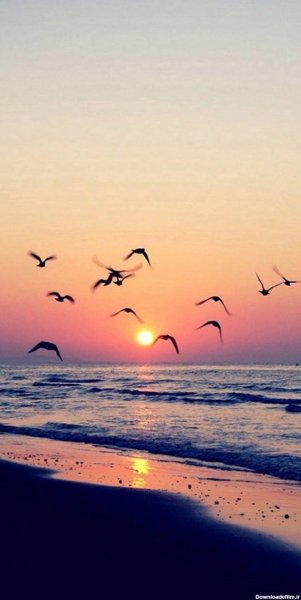  عکس زیبا و دلنشین از غروب آفتاب دریا