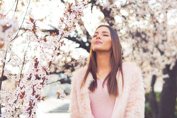  منظره سرسبز بهاری برای پروفایل