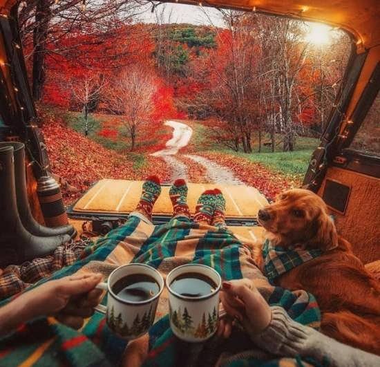 عکس طبیعت زیبا برای پروفایل