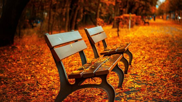  عکس های آرامش بخش و پرانرژی